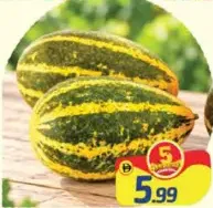 Yellow Cucumber (Vellery)