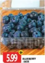 Blue Berry