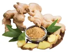 Ginger