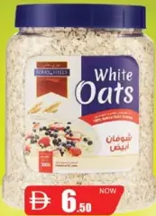 Berry Hills Oats Pet Jar White Oats
