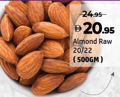 لوز ني 20-22