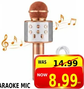 Karaoke Mic