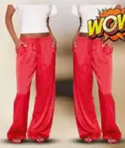 Ladies Pant