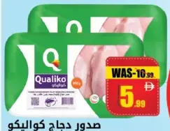 Qualiko صدر دجاج