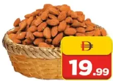 Almond Plain