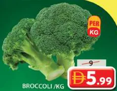 Broccoli