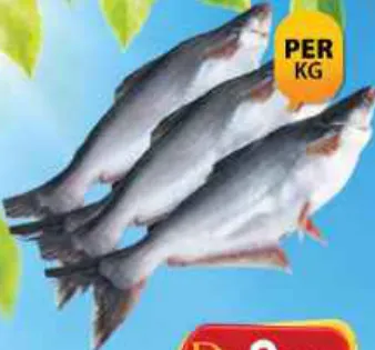 Pran Pangush (G) (Myan)