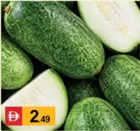 Ash Gourd