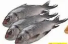 Catla