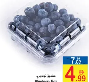 بلو بيري