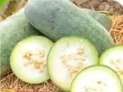 Kumbalam