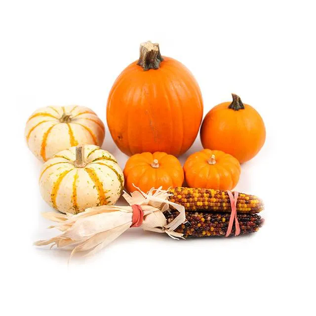 Kibsons Halloween Bundle