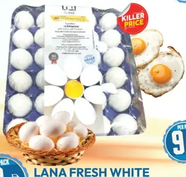 Lana بيض أبيض طازج
