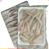 سمك مجمد