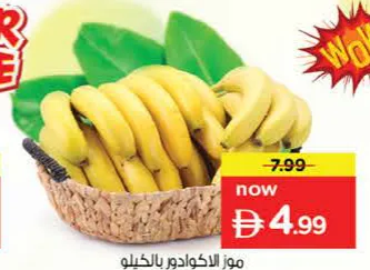 موز إكوادور