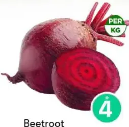 شمندر