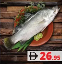 Kalanji /Baramundi Fish