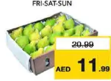 جوافة مصرية