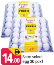 Farm select بيض