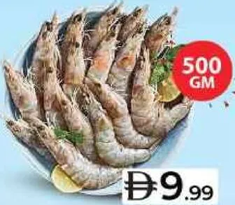 Shrimp Fresh