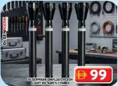 Olsenmark Flash Light Combo