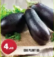 باذنجان كبير