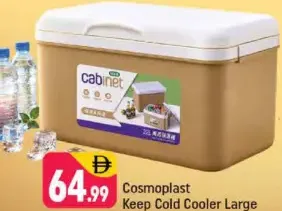 Cosmoplast Keep Cold Cooler
