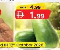 Ash Gourd