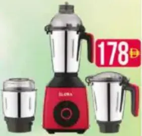 Elora Mixer Grinder 3In1 Elmg 3441 650W