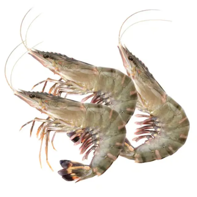 Carrefour Fresh Shrimps 10/20