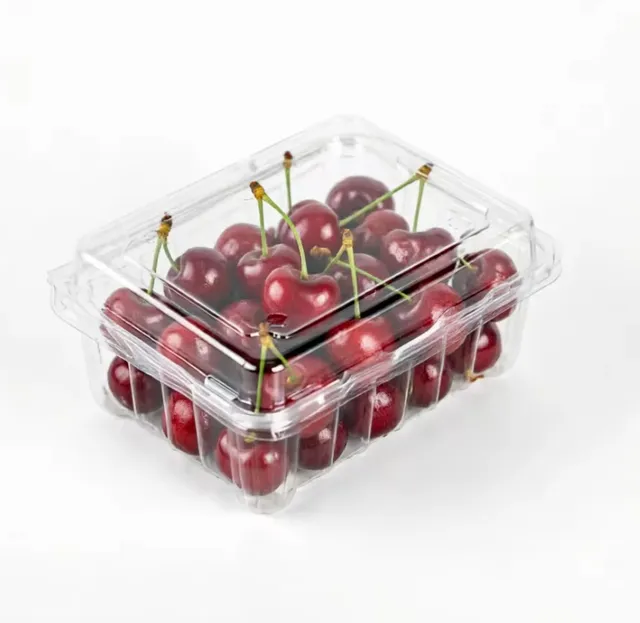 South Africa Cherry Mount