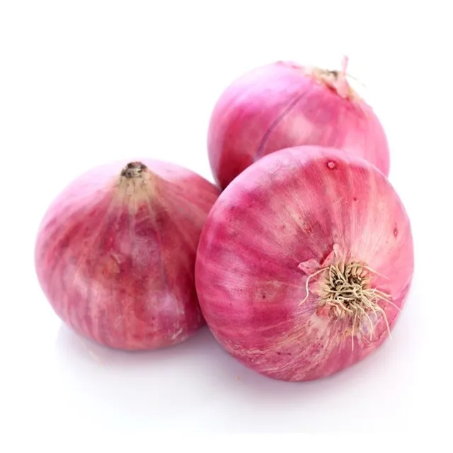 Onion Red - Egypt