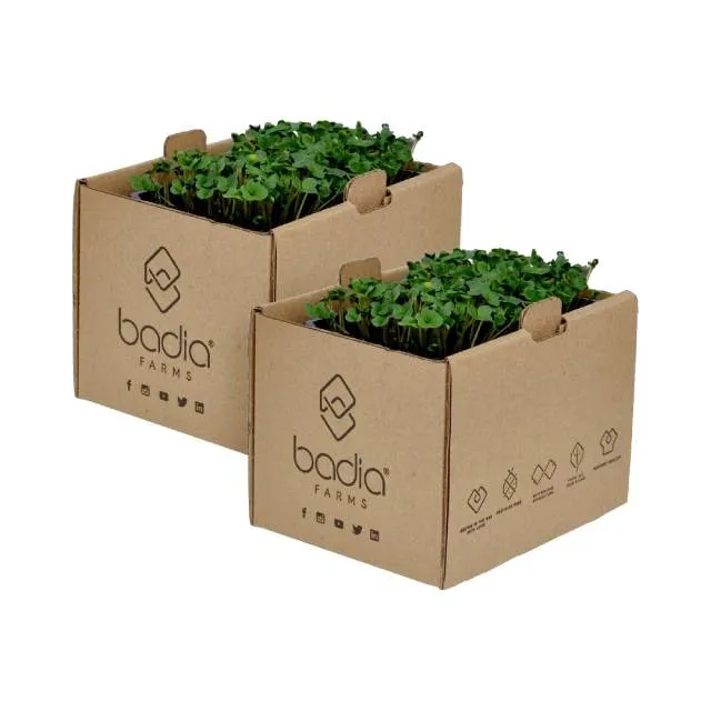 Badia Farms براعم البروكلي