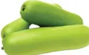 bottle gourd