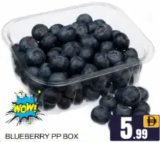 Blueberry Pp Box