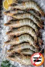 Prawns Med