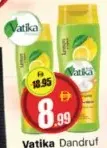 Vatika Dandruf Grd Shampoo