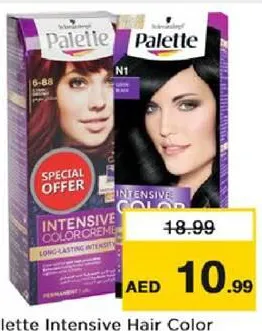 Palette Intensive Hair Color Assorted
