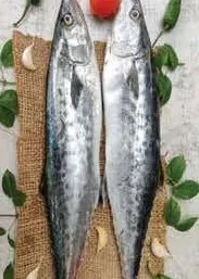 Kingfish Whole