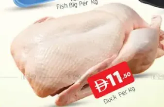 Duck