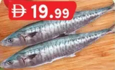 Kingfish Whole