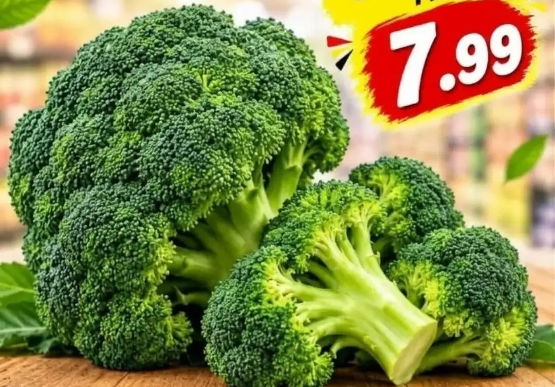 بروكلي بلين سولي