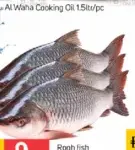 Rooh Fish 1 Up