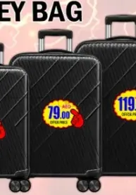Trolley Bag