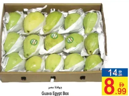 Guava Egypt