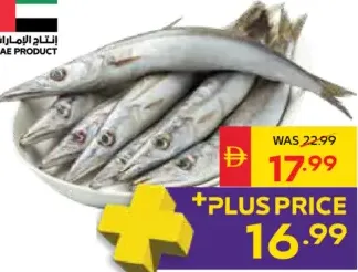 Fresh Baracuda