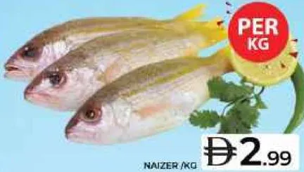 Naizer