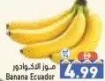 Banana Ecuador