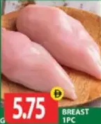 Breast