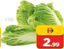 Lettuce (Kass)